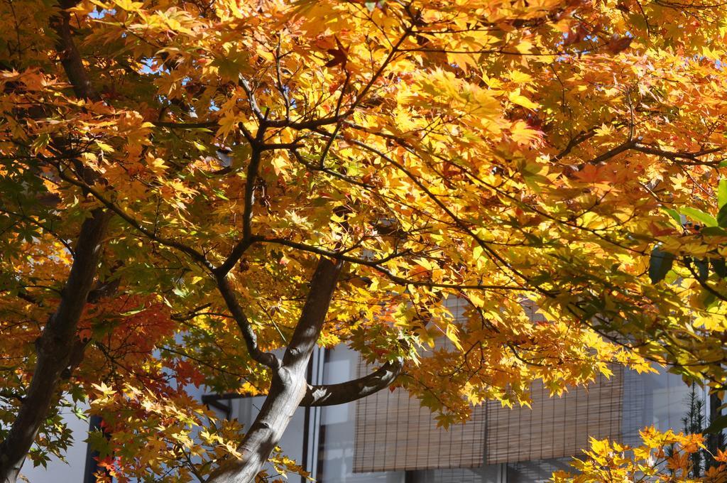 Yudanaka Yumoto Otel Yamanouchi  Dış mekan fotoğraf