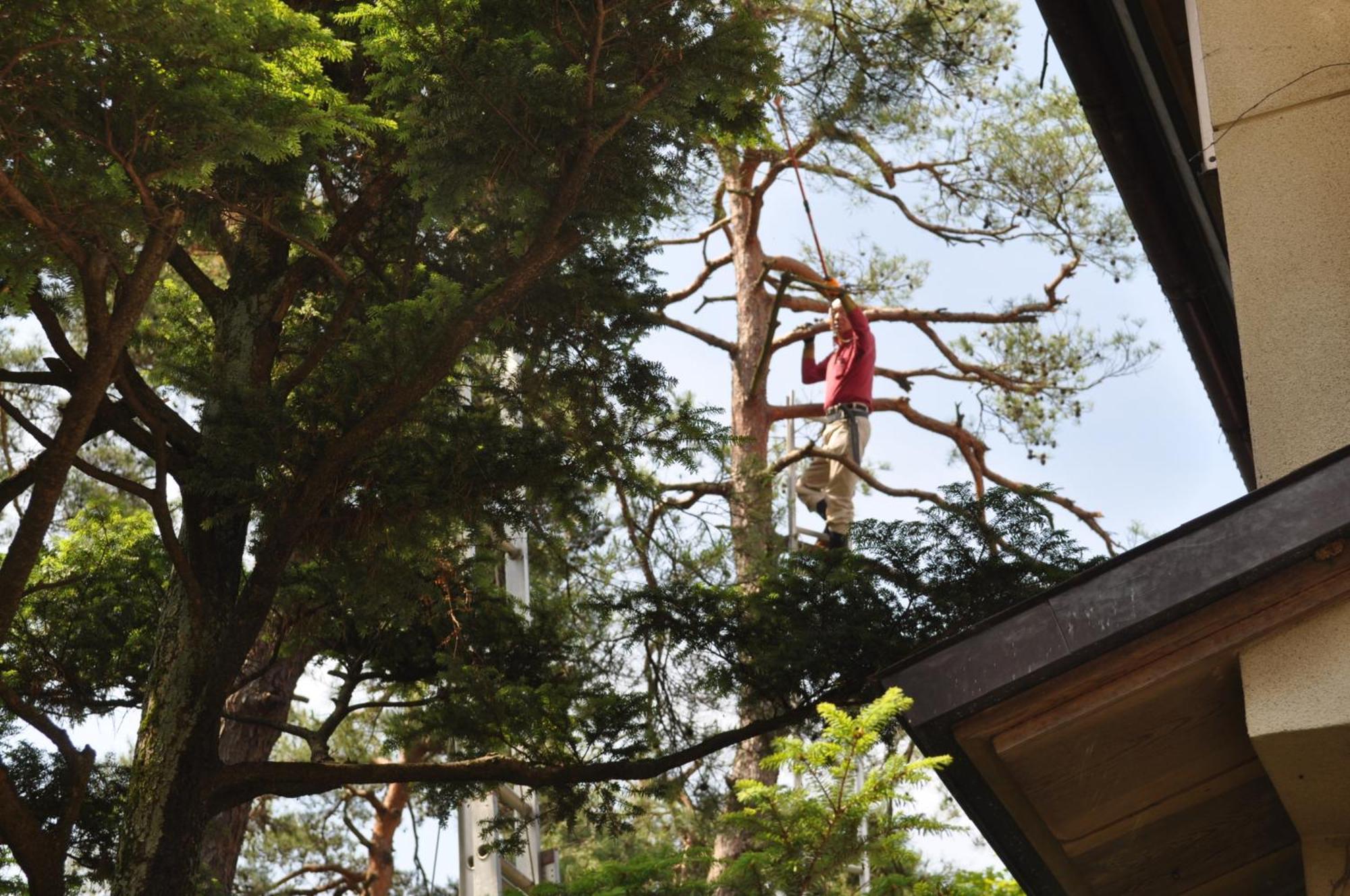 Yudanaka Yumoto Otel Yamanouchi  Dış mekan fotoğraf