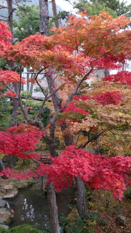 Yudanaka Yumoto Otel Yamanouchi  Dış mekan fotoğraf